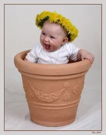 калипедия калипедия