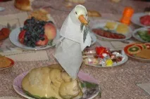 киргизькі