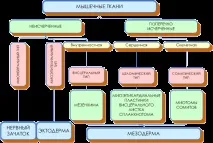 класификация втората група