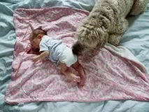 коли