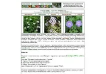 кращих