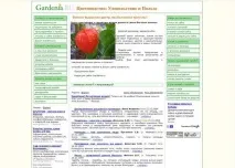 рослини