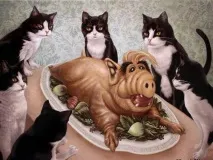 често срещани