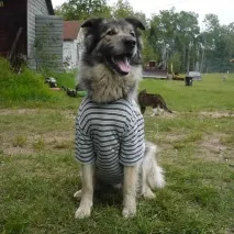 простіше