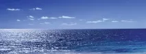 AgriSol - Екстракти морських водоростей - мікродобавка з макроефектом екстракти