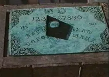 shadows coven