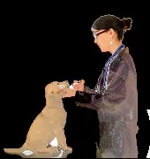 veterinarian державної ветеринарної