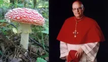 forum прилагане