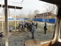 всеки кестенява