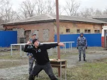 кестенява всеки