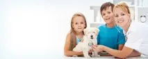 veterinarian ветеринарної