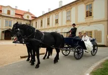 весілля