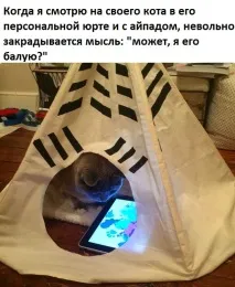 Без кота – життя не та 27 розчулених фото (27 фото) - FotoJoin життя