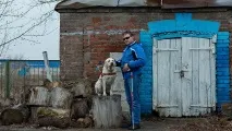 обучават обучават