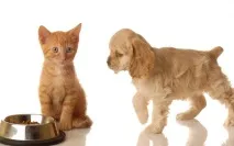 храним храним