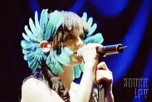 bjork майка
