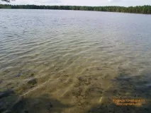 посветен churkan