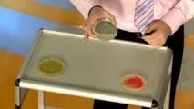 вискозни храчки
