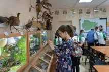 екология екология