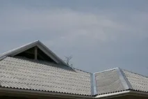 други цветни