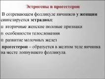 прогестерон