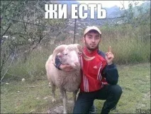 какво repost