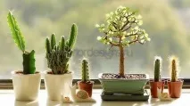 кухня