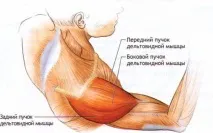 упражнения