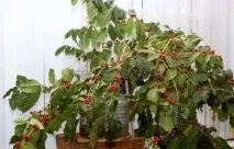 кухня
