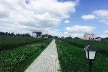 глібове