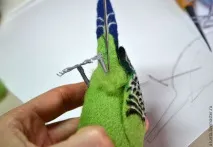 телени телени