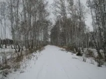 дори отец Виталий