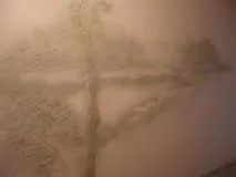 блог стени