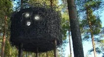 treehotel tree