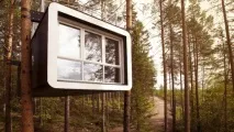 tree treehotel