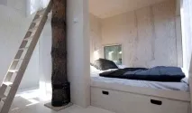 tree tree