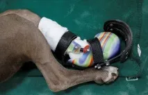 удобна уникална