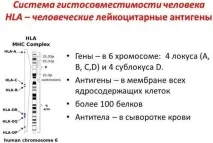 донорно
