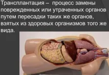 донорно