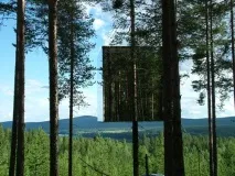 tree tree