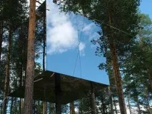 house tree