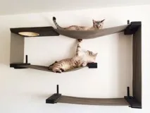 висящи котки