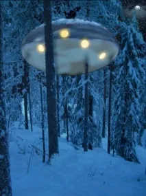 хотел tree