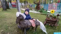 проект