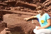 статии търсене