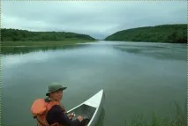ефект ефект