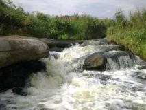 екзотичні