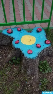 життя