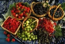 средна плътност крим