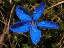 Защо хората